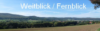 Weitblick Immobilien